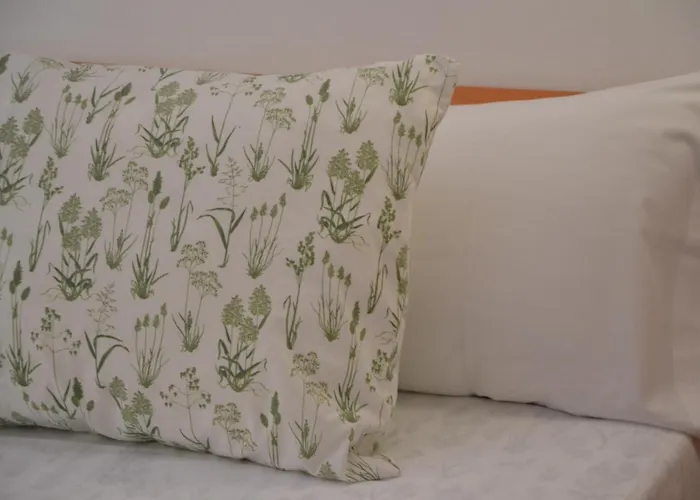 Nuevas Artes Affittacamere